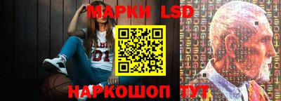 индика Гусь-Хрустальный