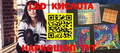 крисы Дубна