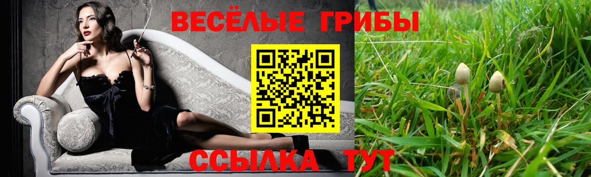 Галлюциногенные грибы MAGIC MUSHROOMS Лысьва